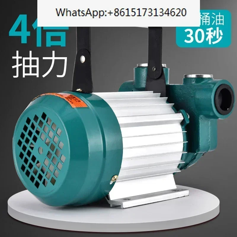 고전력 오일 펌프 12V24V220V 볼트