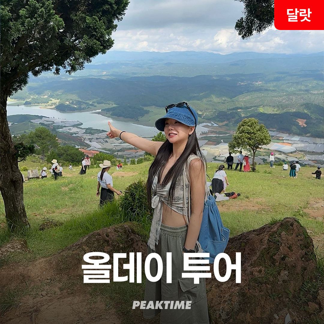 나트랑 달랏 투어 렌트카 관광지 올데이 투어