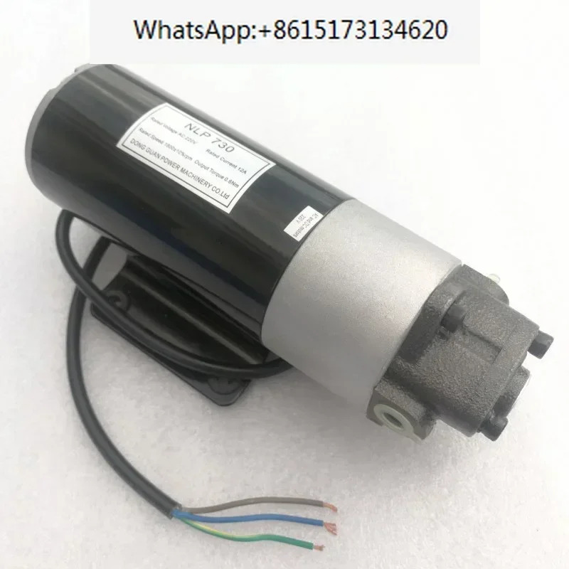 DC 12V/24V AC 220V 펌프 전기 유압 소형 마이크로 기어 오일러