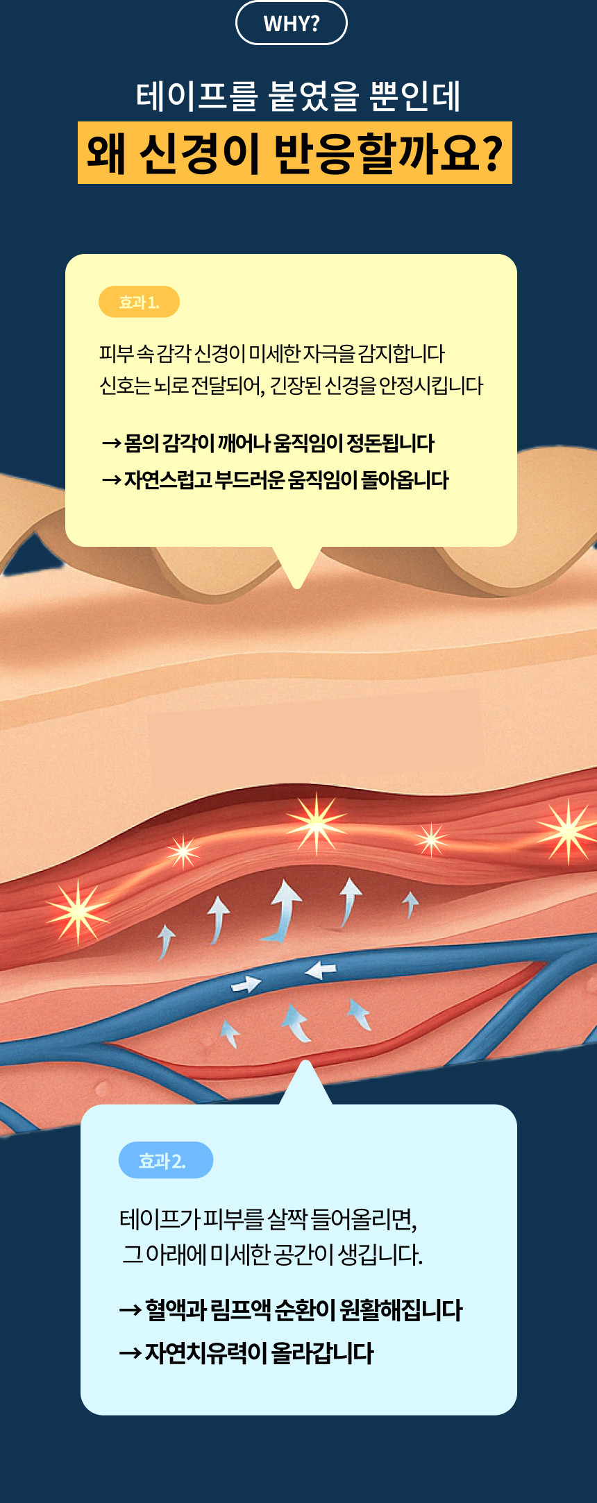 7.png (860×2166)