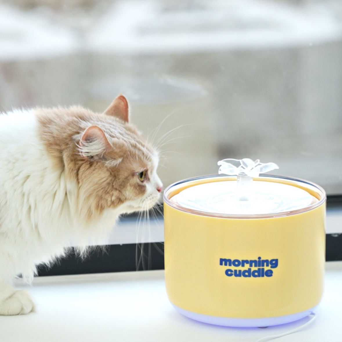 모닝커들 무선 UV살균 강아지 고양이 정수기 자동 급수기 음수대