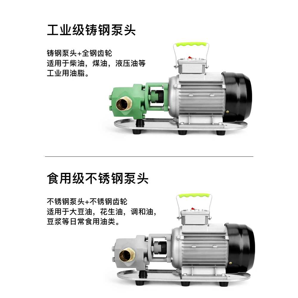 오일펌프 다이아프램 유류 소형 기름 펌핑 고점도 370W 220V - 상세 이미지 2
