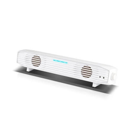 캔스톤 FX200 (화이트)