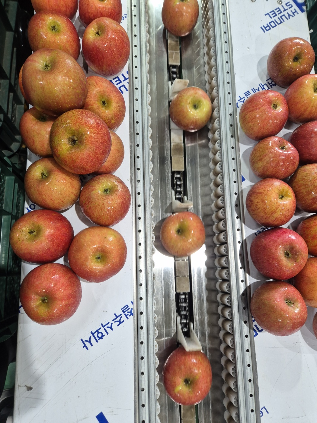 부사 소과 씻어나온 봉지사과 12.9Brix, 2kg, 1개 이미지 6