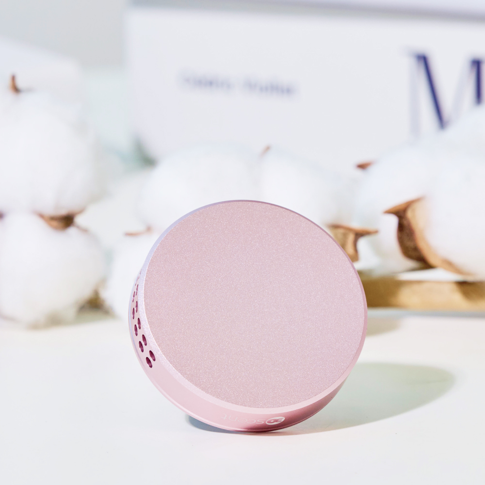 30센트 명품 차량용 방향제 고급 송풍구 차 디퓨저 천연향 파인포레스트