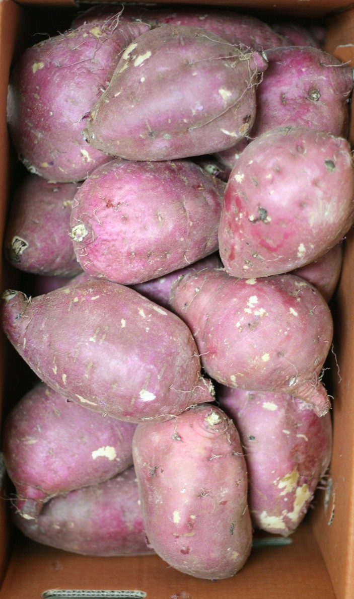 못난이 도매가 알뜰 고구마 10kg - 상세 이미지 5