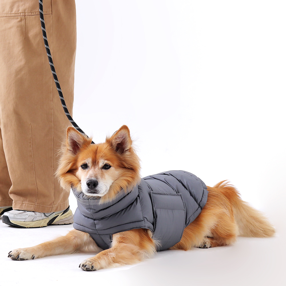 강아지패딩 소형견 대형견 패딩 조끼 겨울옷 중형견 진돗개 리트리버 S