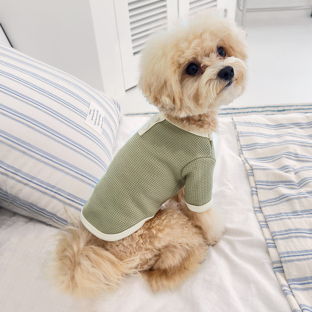 강아지옷 강아지 반려견 실내복 겨울옷 내복 티셔츠 더블버튼와플 - 메인 이미지