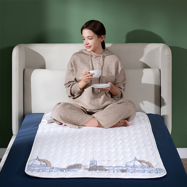 이메텍 프리미엄 순면 전자파안심 전기요 싱글 IMF-091(플로렌스) 제품 이미지