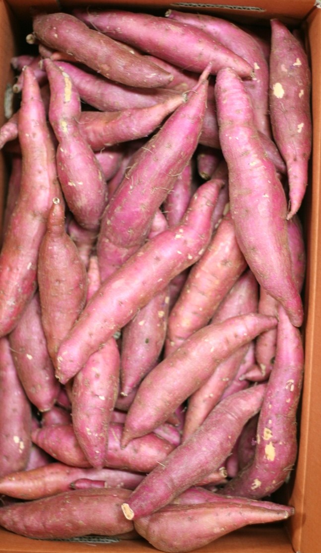 못난이 도매가 알뜰 고구마 10kg 이미지 6