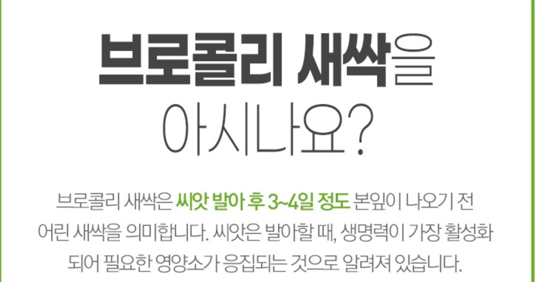 유기농 브로콜리 새싹분말 100g 이미지 6