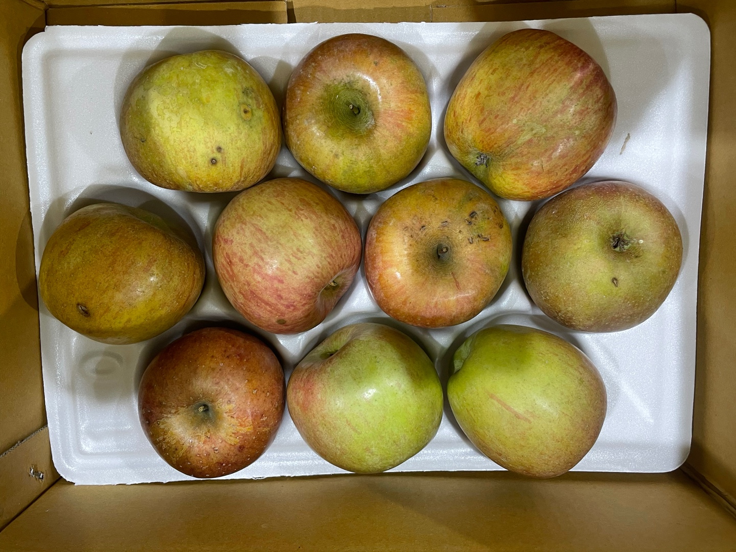 소과 가정용 경북농장산지직송 꿀부사 사과 12.4Brix, 2kg, 1개 - 상세 이미지 5