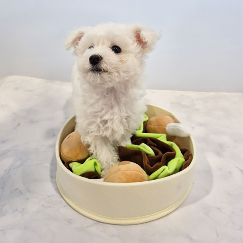 강아지선물 분리불안훈련 강아지간식장난감 노즈워크장난감