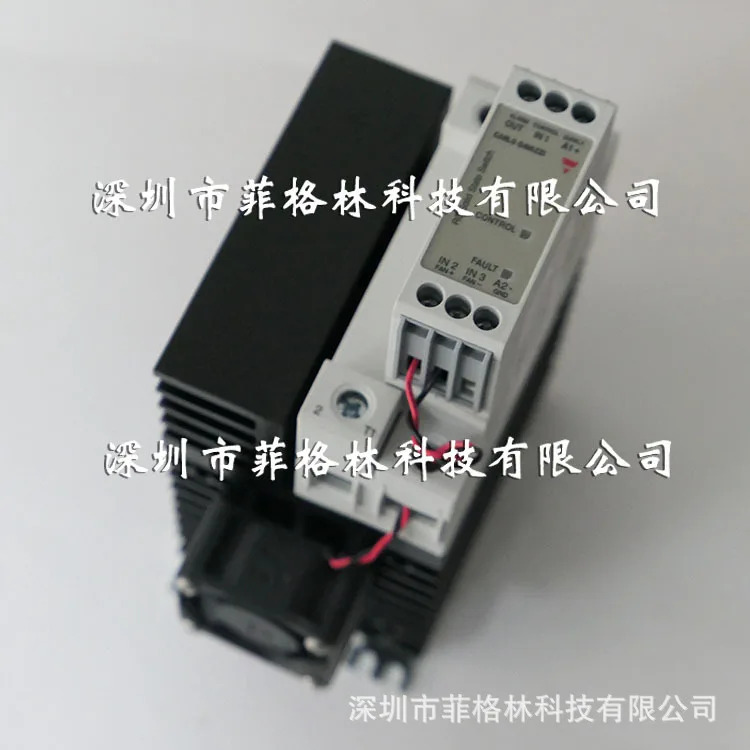 실물 스위스 카를로스 가바지 제일레 릴레이 RGC1A60D92GGE