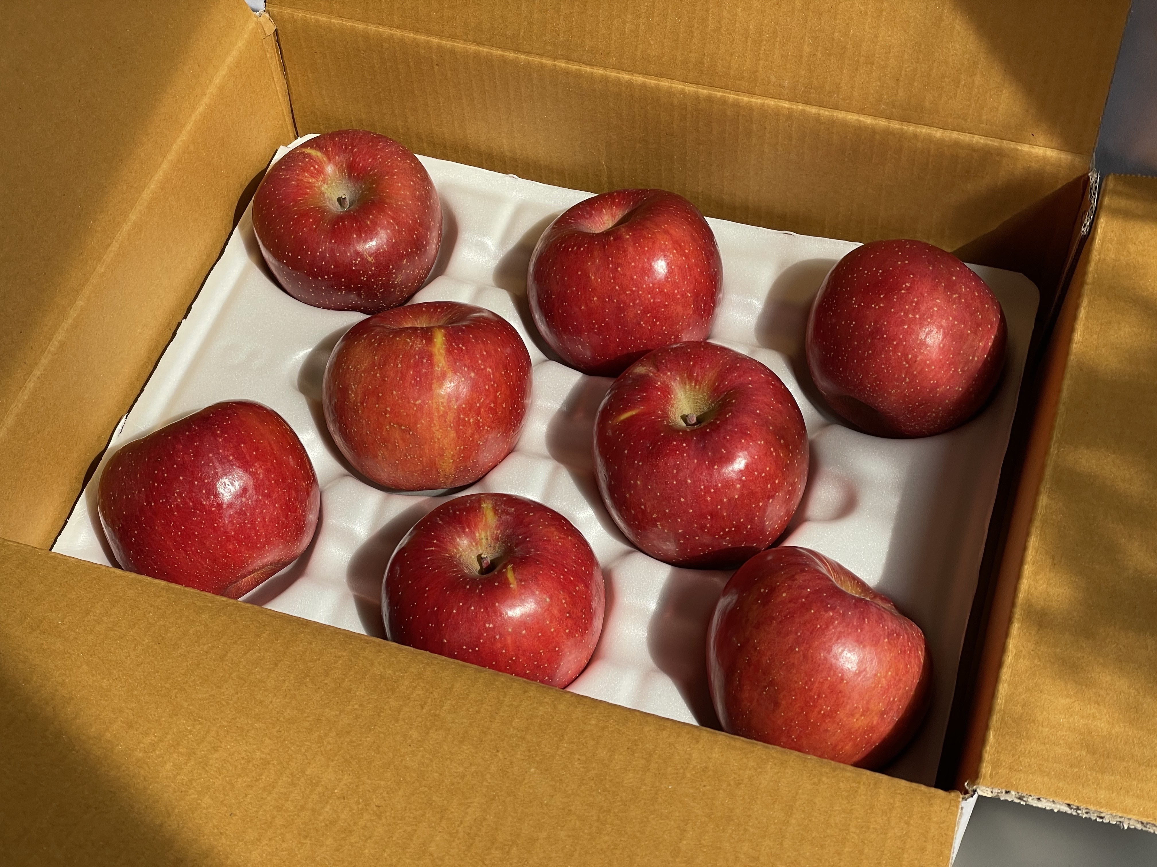 맛있는 꿀부사 사과 소과, 2kg, 1개 이미지 6