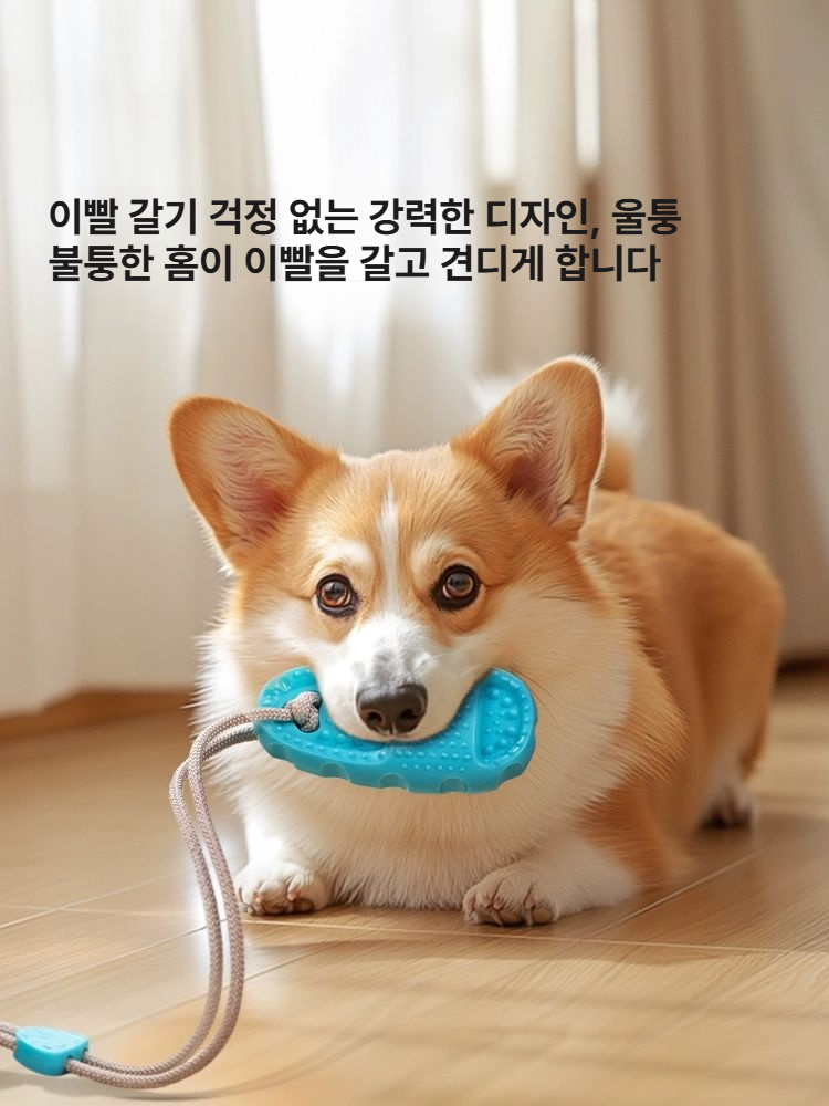 강아지 내구성 흡착식 이갈이 자동 놀이 펫용품 소형견용 소형견 소형상어 블루 - 상세 이미지 5
