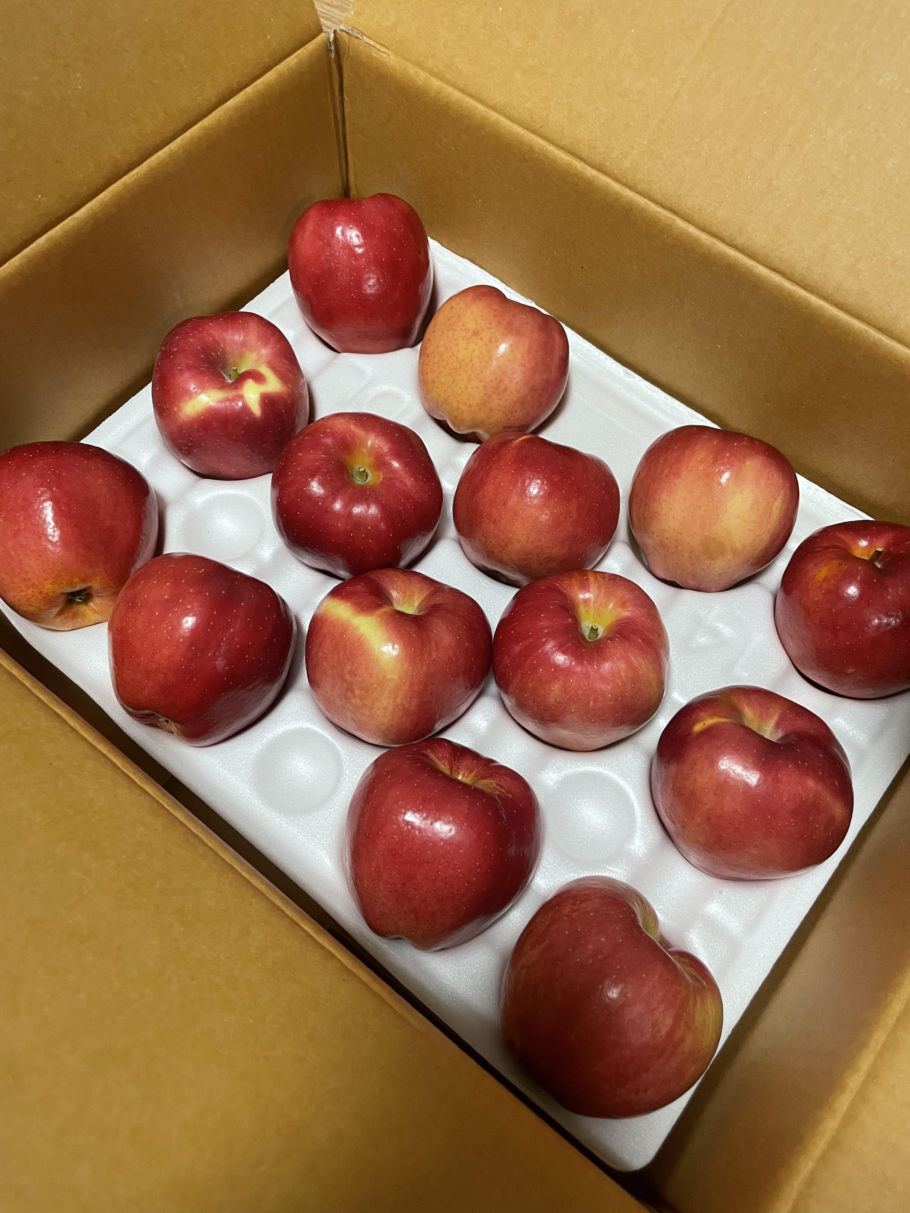 중소과 경북 빨간 부사 사과 12.8Brix, 3kg, 1개 - 상세 이미지 2