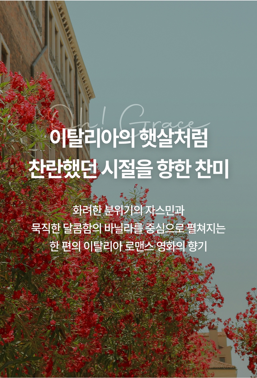 케이니치 향수 오그레이스, 100ml, 3개 이미지 7
