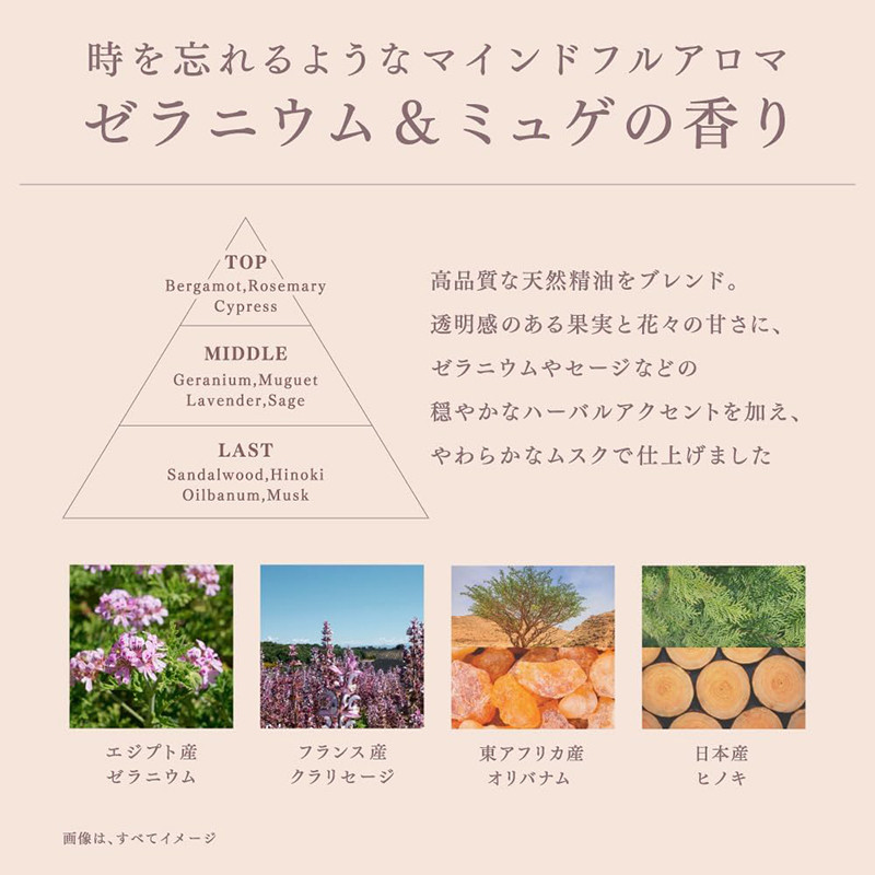 [발주 요청상품] 멜트 모이스트 샴푸 480ml 마인드풀 아로마 / 제라늄 & 은방울꽃 향 - 헤어케어 - 하카타몰