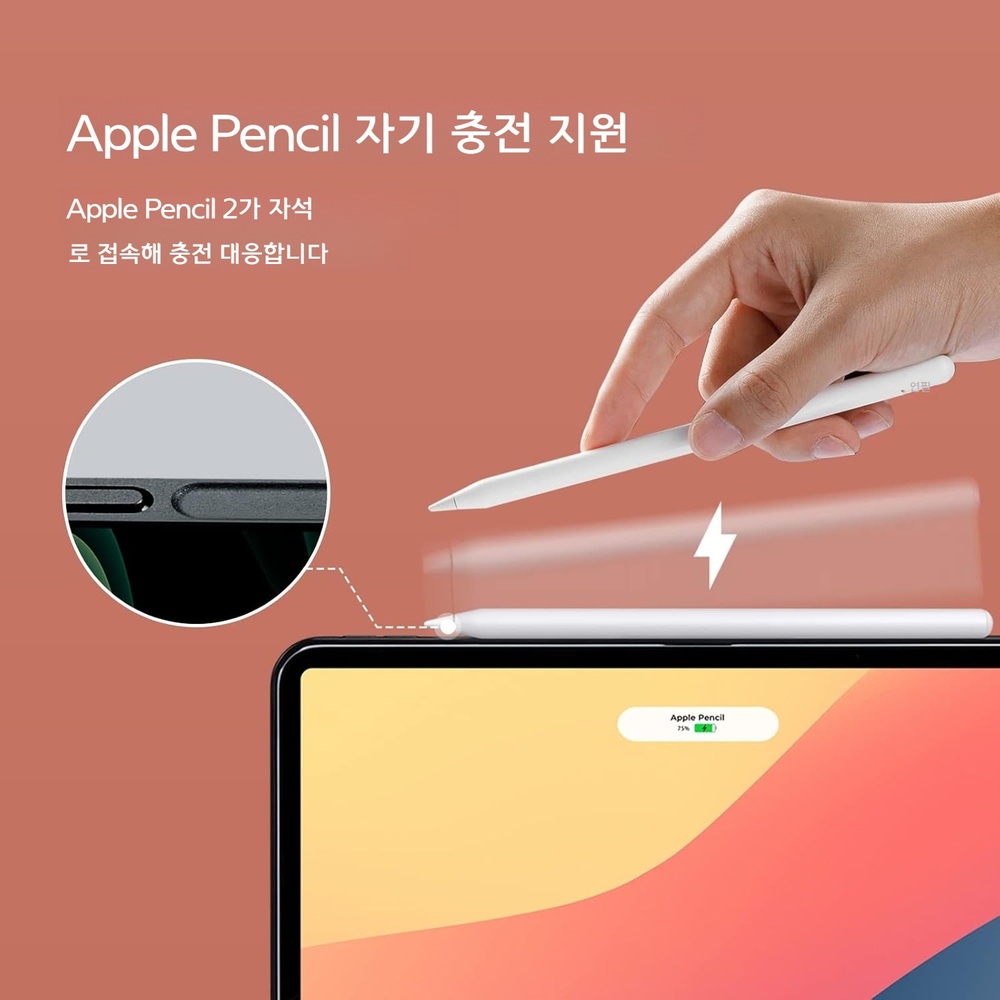 피타카 아이패드 프로 11 마그이지 케이스 프로 1500D 아라미드 무선충전 랩소디 이미지 6