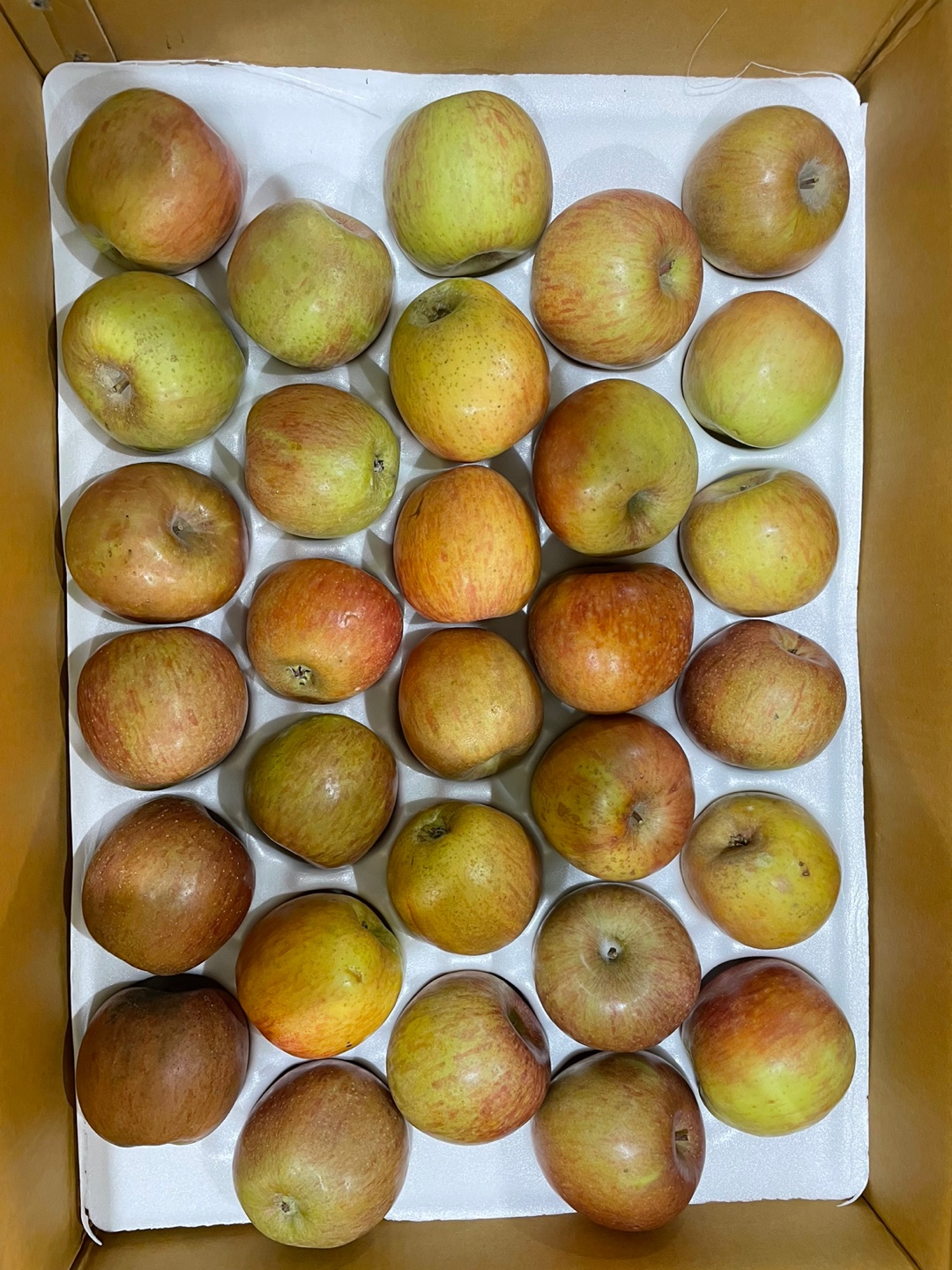 중대과 가정용 경북농장산지직송 꿀부사 사과 12.1Brix, 2kg, 1개 이미지 6