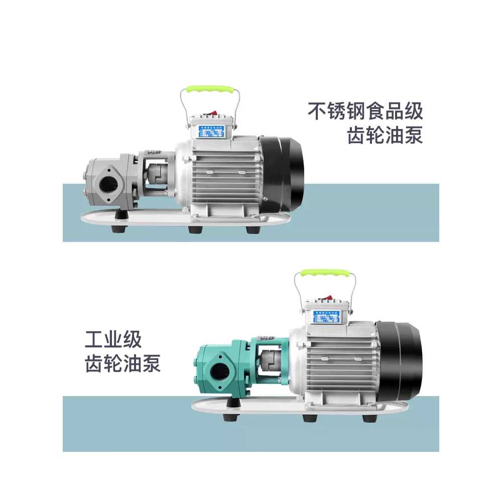 산업용 펌프 내식성 기름 전동 모터 유체 이송 고압 370W - 상세 이미지 3