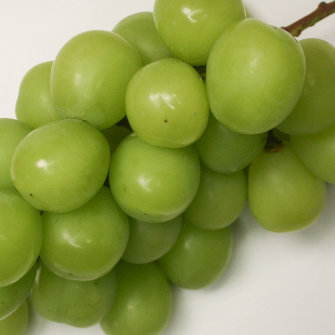 고당도 샤인머스캣 2kg - 상세 이미지 3