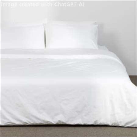 2025 F/W 가을 4계절 알러코튼 알러지케어 5성급 호텔이불 (이불+베개 세트)