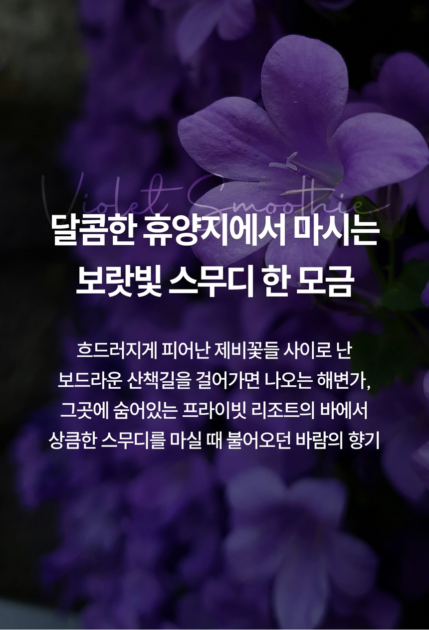 케이니치 향수 바이올렛 스무디, 100ml, 1개 - 상세 이미지 5