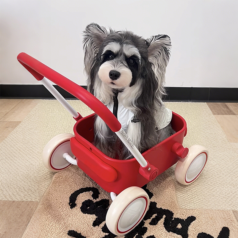 강아지 고양이 외출용 펫모차 손잡이형 앨블루-뮤직 앤 라이트 - 상세 이미지 2