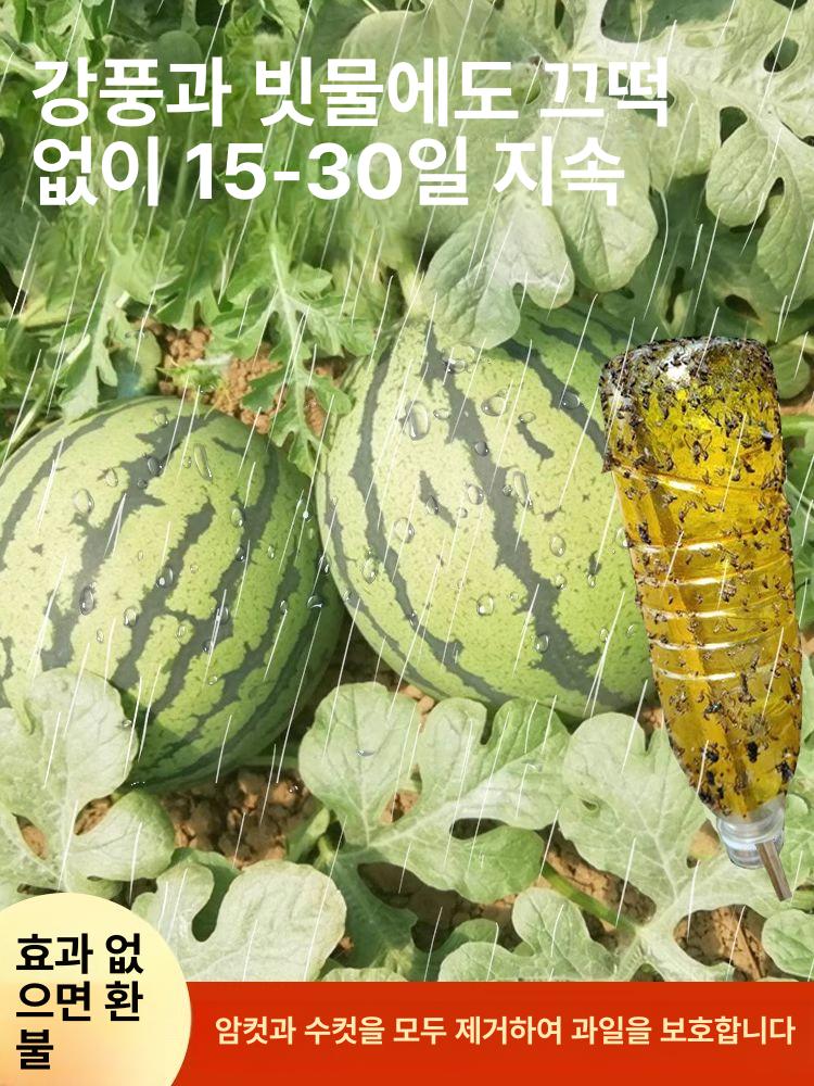 과일 파리 유인제 과수원 벌레 퇴치제 과일나무 제거 가정용 450ml 2병 - 상세 이미지 2