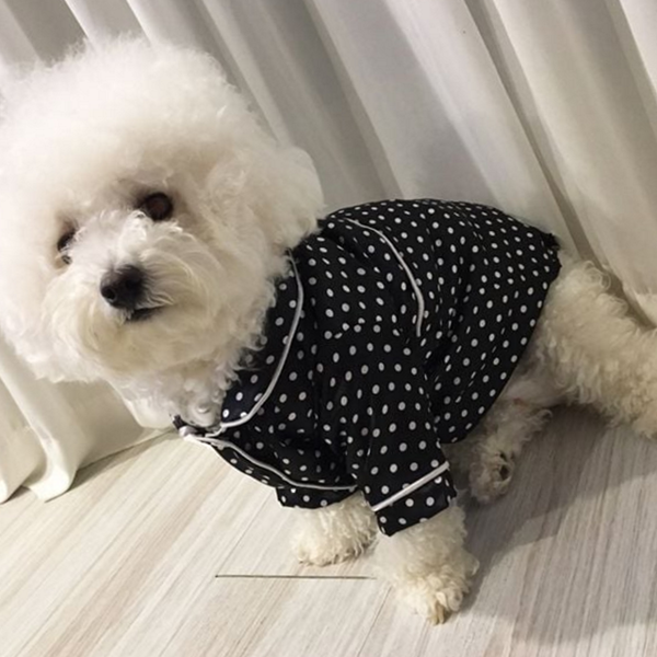 땡땡이 강아지 잠옷 데일리룩 강아지 파자마 산책복 가을 - 상품 이미지