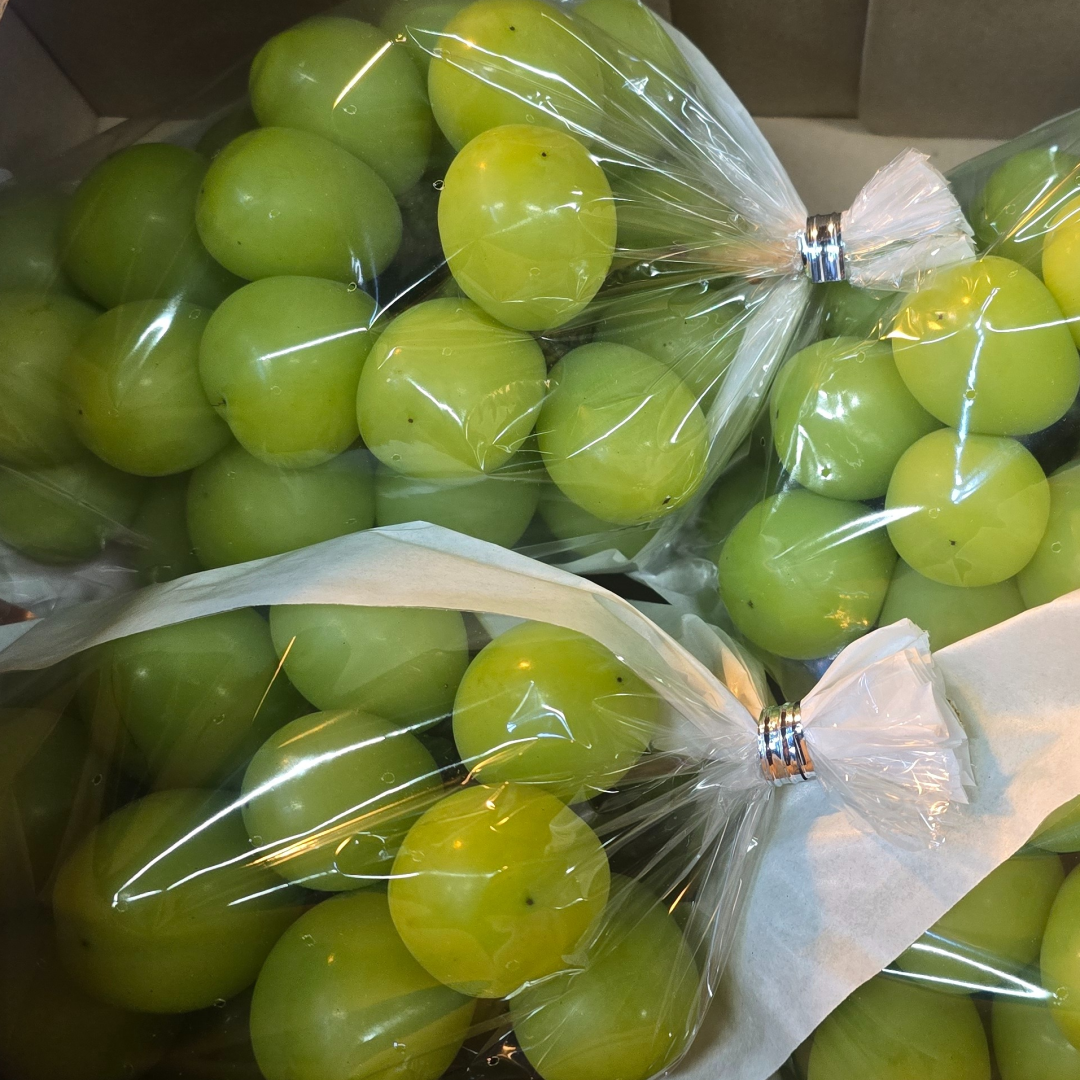 고당도 샤인머스캣 2kg - 상세 이미지 4