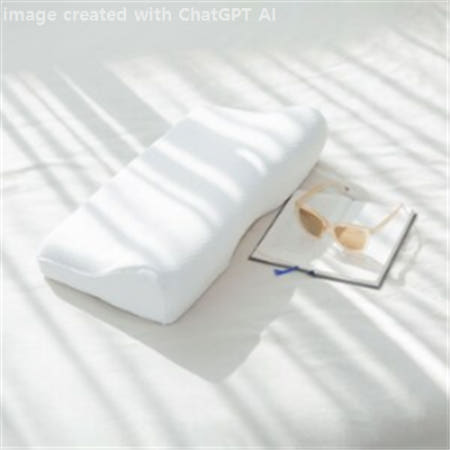 [플래비안] 뉴밀레니엄 서포트 기능성 베개