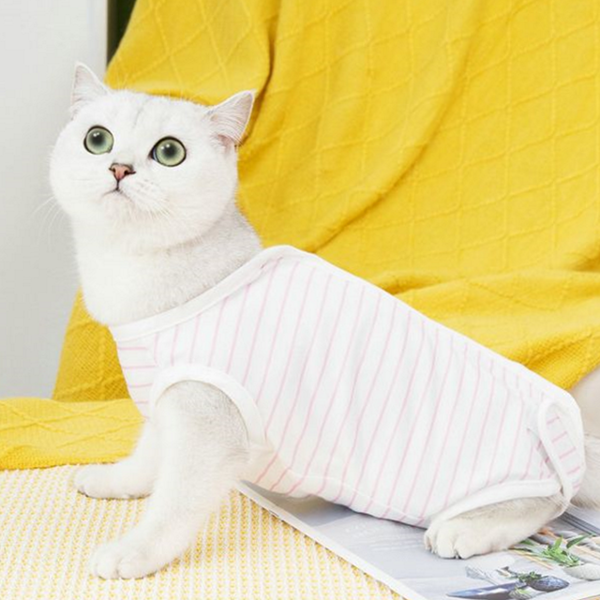 반려동물 고양이 회복복 코튼 고양이 스트라이프 수술 내복 - 상품 이미지
