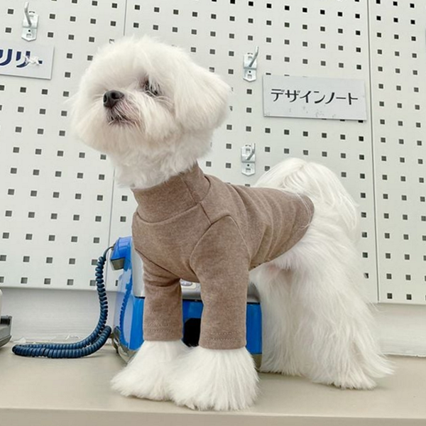 기본 강아지 터틀넥 데일리룩 강아지 면 티셔츠 산책 - 상품 이미지