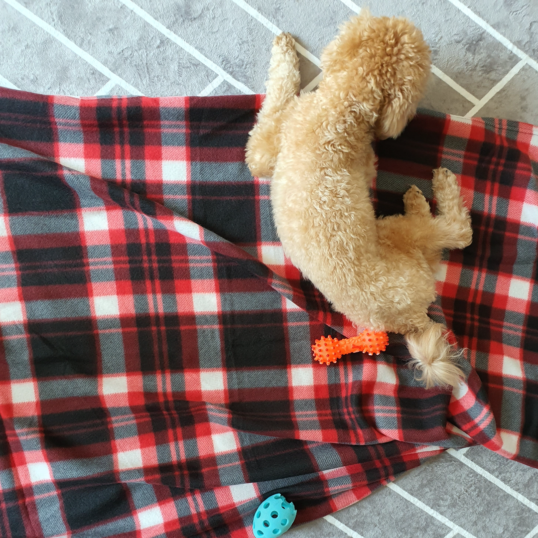 길고양이 담요 반려견 야외 겨울집 난방 방한 하우스 매트 겨울집 - 상세 이미지 3