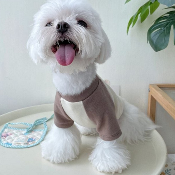 소프트티 강아지 티셔츠 베이직 강아지 나그랑 데일리룩 실내복 - 상품 이미지