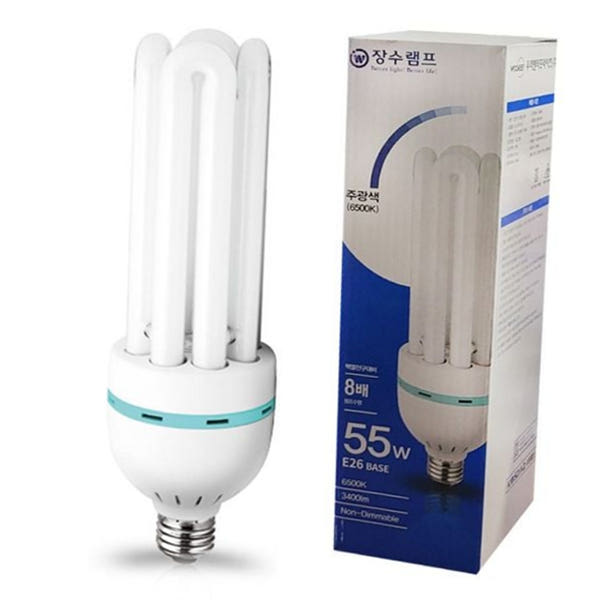 삼파장 장수램프