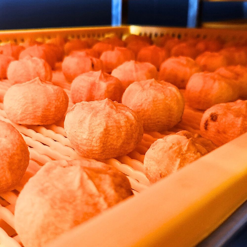 영동 곶감 달콤한 반건시 곶감 둥시감 청결팩 400g+400g - 상세 이미지 2