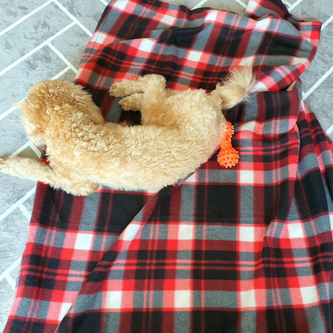 길고양이 담요 반려견 야외 겨울집 난방 방한 하우스 매트 겨울집 이미지 7