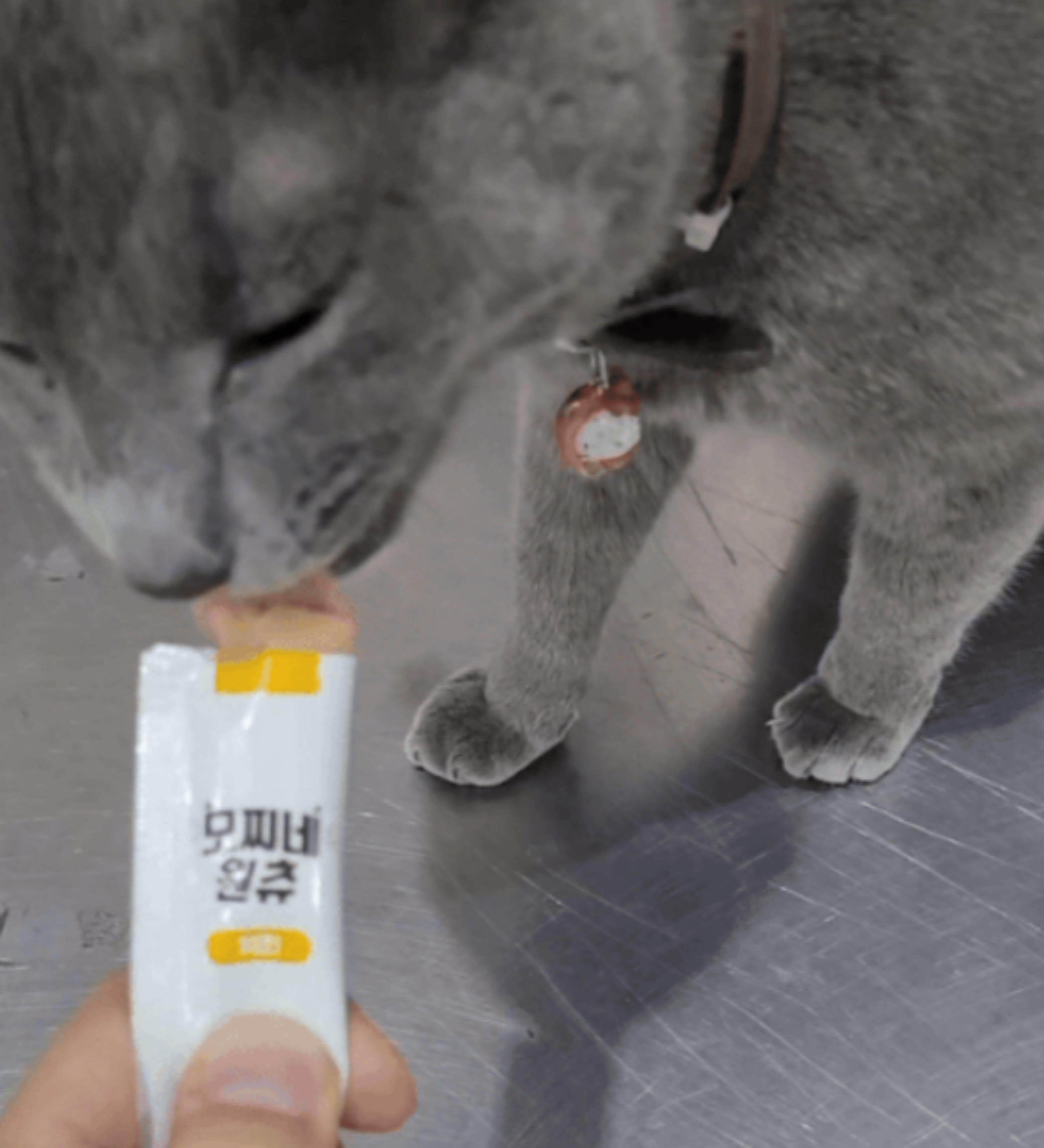 모찌네 원츄 에너G스틱 짜먹는 고양이 간식 닭고기, 15g, 30개 - 상세 이미지 5