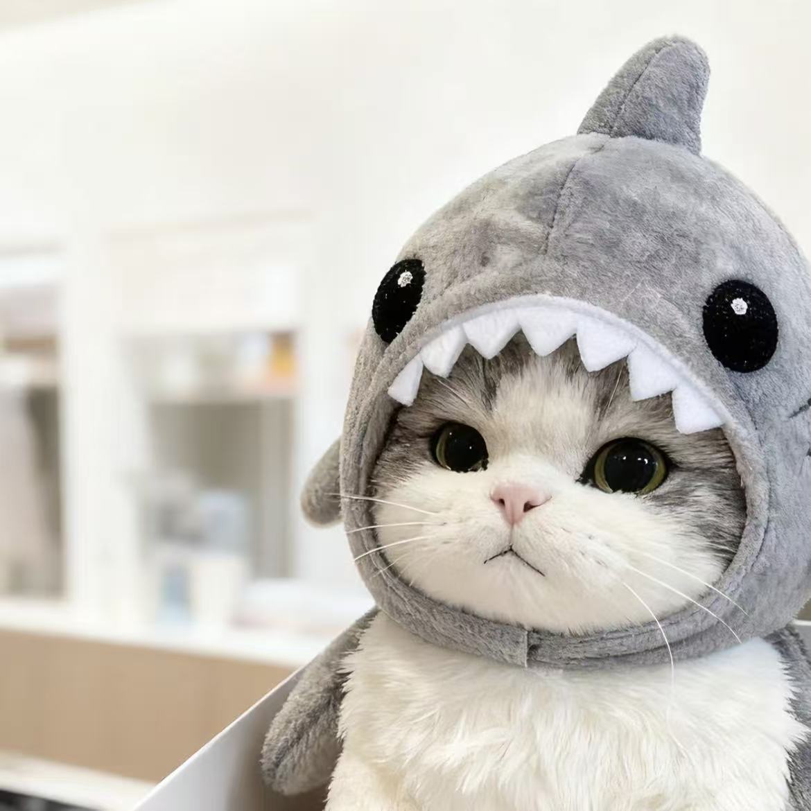 고양이 상어 헤드피스 귀여운 펫 모자 촬영 소품 인형 머리장식 샤크 헤드 커버 S 2.5kg이하 - 상세 이미지 2