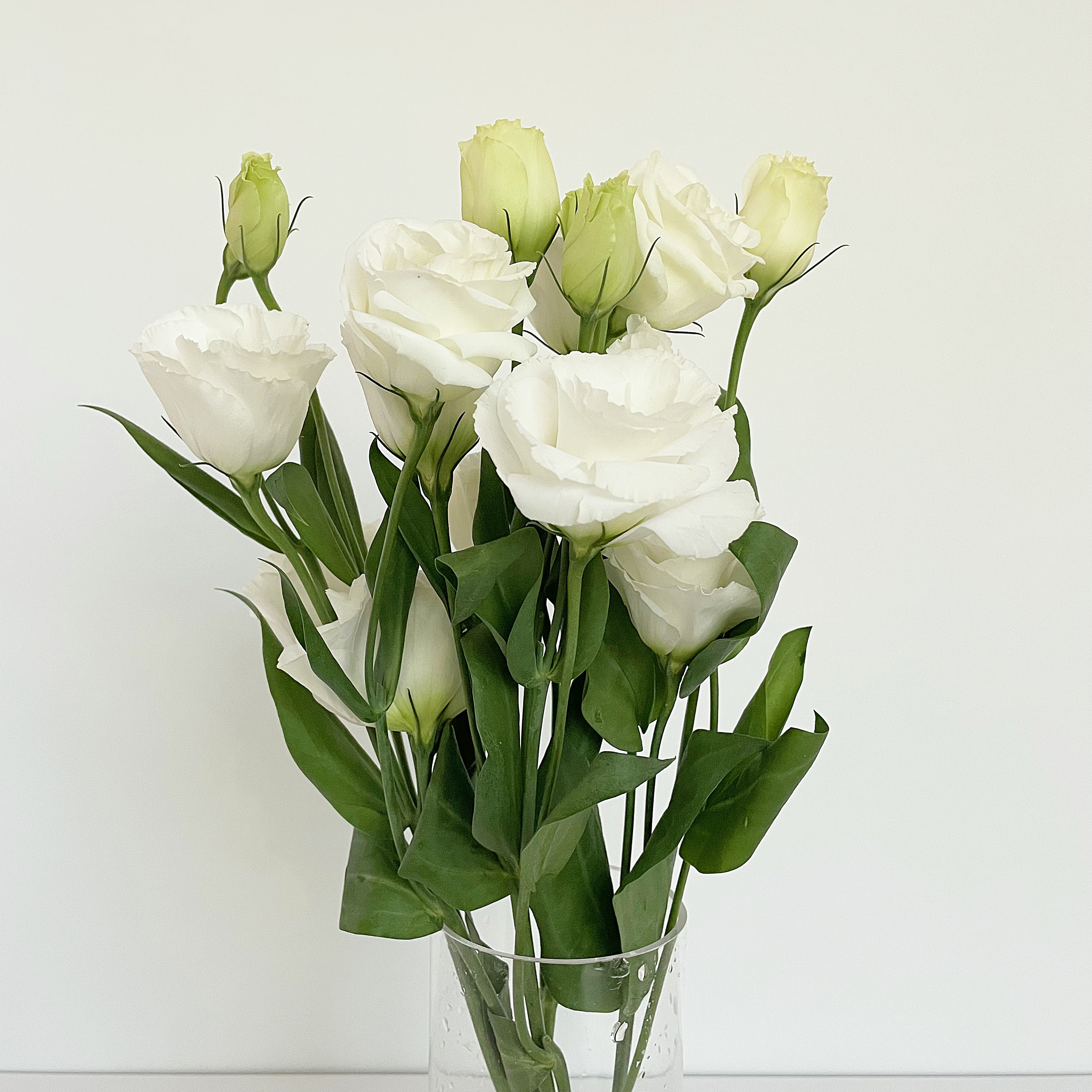 플로민스 리시안셔스 꽃다발 생화 택배 오래가는꽃 온라인꽃집 꽃배달 싼곳 ... 솔직 후기 | 실사용자 리뷰 분석 - 대표 이미지