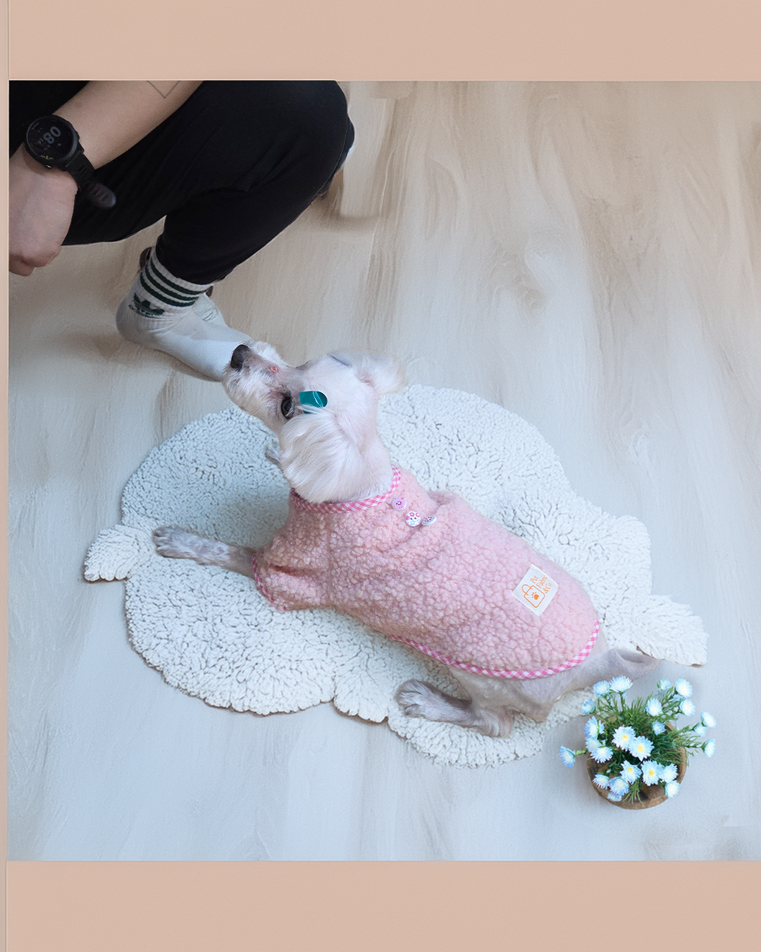 따뜻한 겨울 양털 강아지 티셔츠 핑크 보아 후리스 뽀글이 강아지 반려견 옷 데일리룩 - 상품 이미지