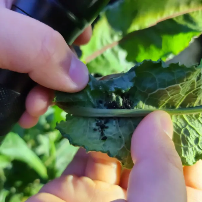 [깨비의숲마을][어린이대공원] 서울 광진구 숲체험 어린이 겨울 유아 초등 자연 곤충 주말 체험 학습