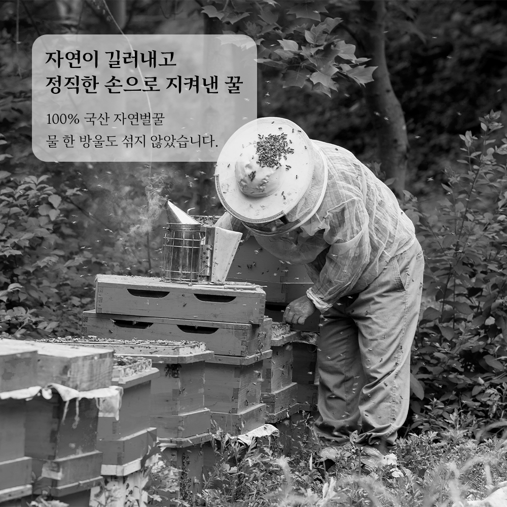 국산 토종꿀 아카시아꿀 1kg 농부플러스