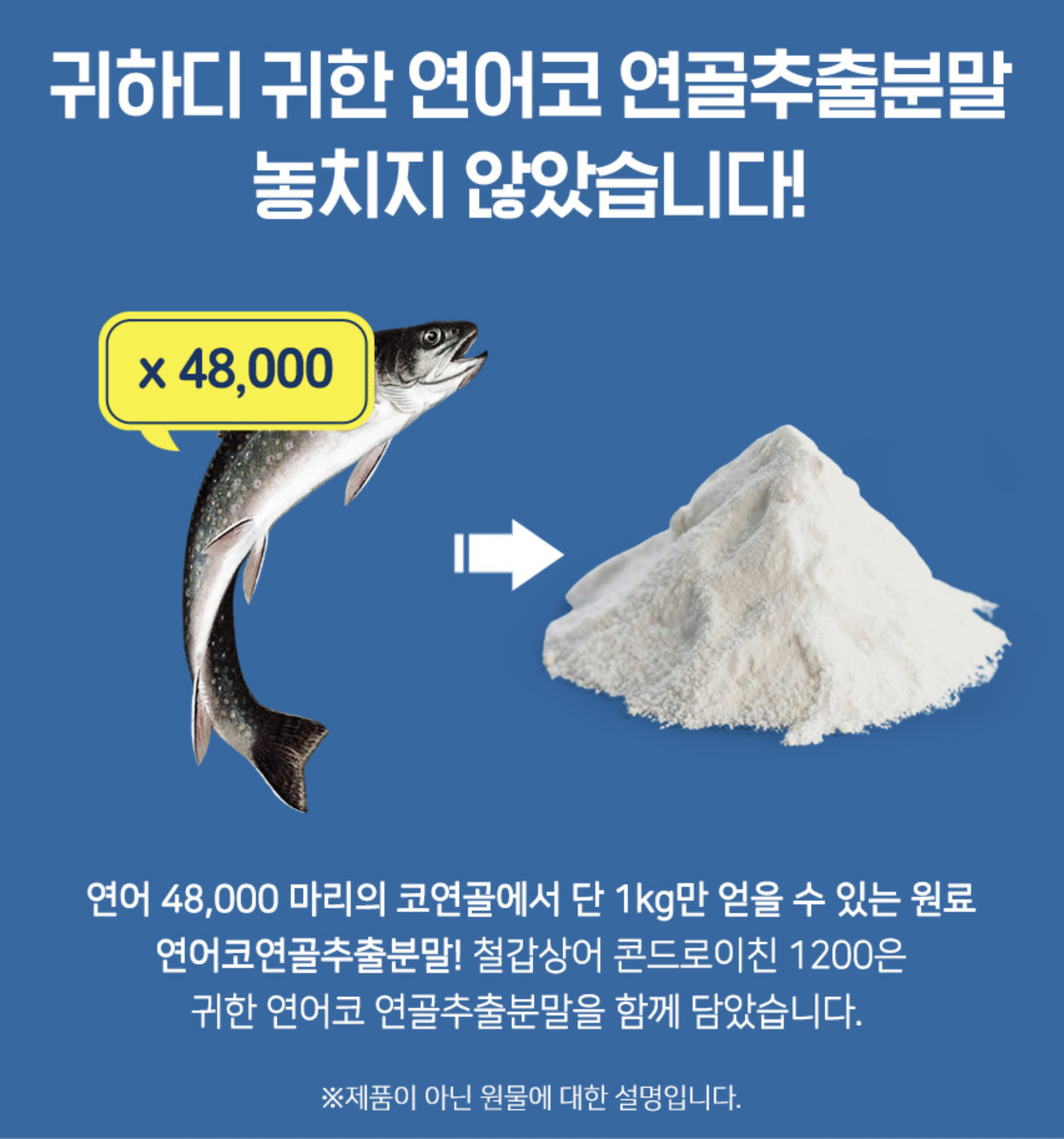 철갑 상어 콘드로이친 1200mg 상어 연골 무릎 관절에 좋은 영양제 이미지 6