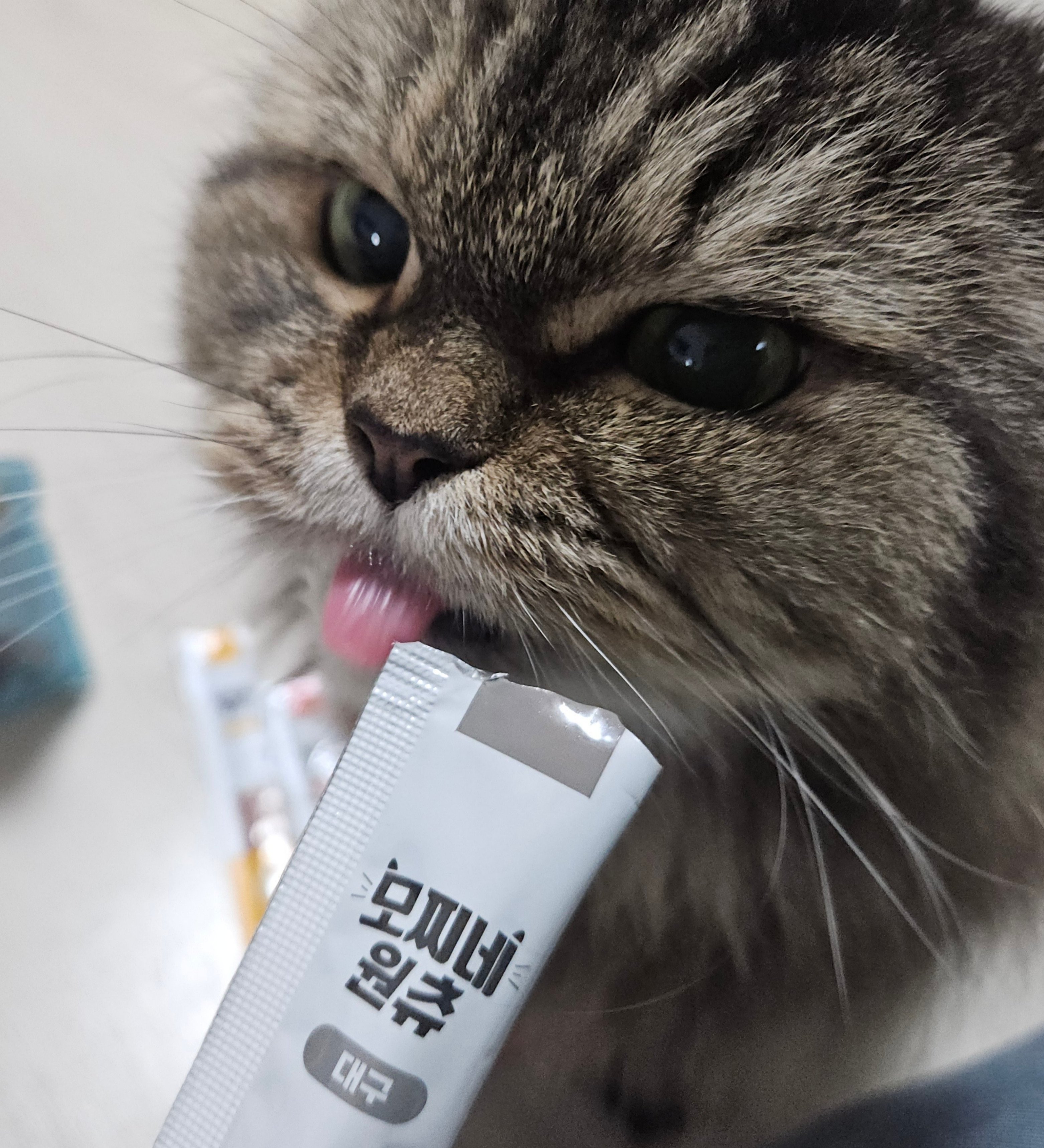 모찌네 원츄 에너G스틱 짜먹는 고양이 간식 닭고기, 15g, 30개 - 상세 이미지 3