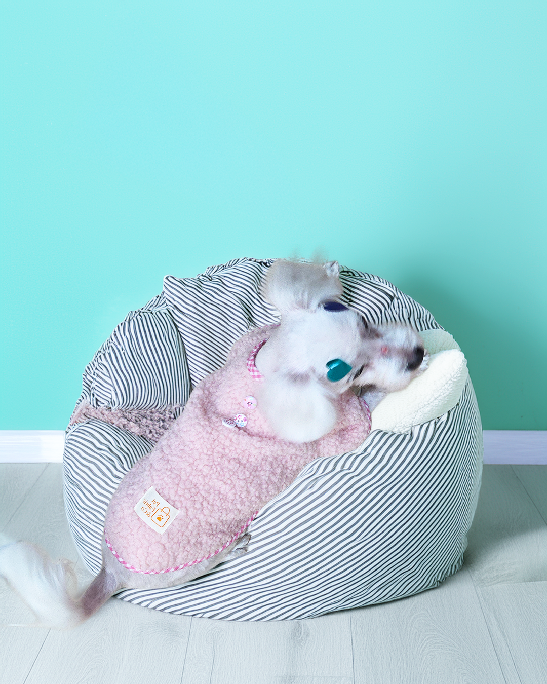 따뜻한 겨울 양털 강아지 티셔츠 핑크 보아 후리스 뽀글이 강아지 반려견 옷 데일리룩 이미지 6